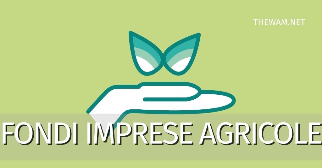 Imprenditori agricoli: arrivano i finanziamenti ISMEA. Scopri requisiti e modalità di presentazione della domanda