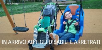 Assegno unico disabili