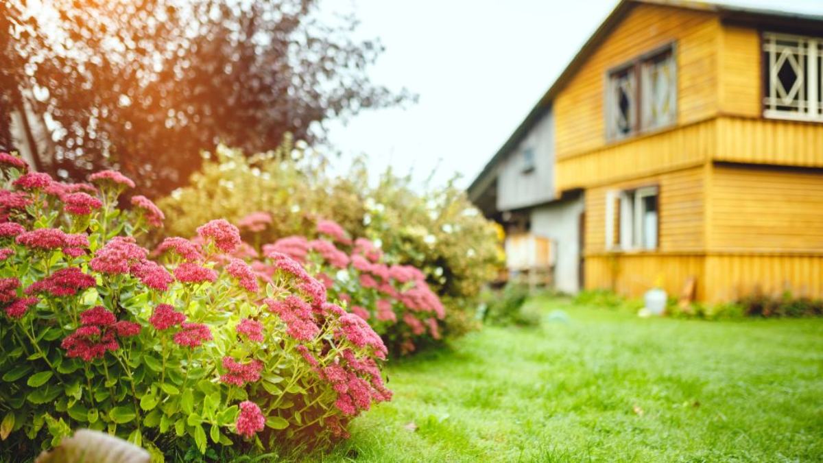 Bonus giardino 2023 pagamento e lavori ammessi